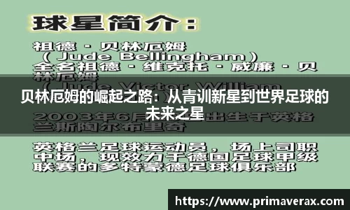 星空娱乐平台