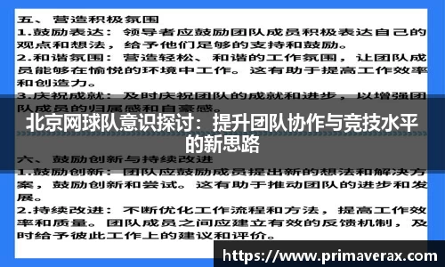 北京网球队意识探讨：提升团队协作与竞技水平的新思路